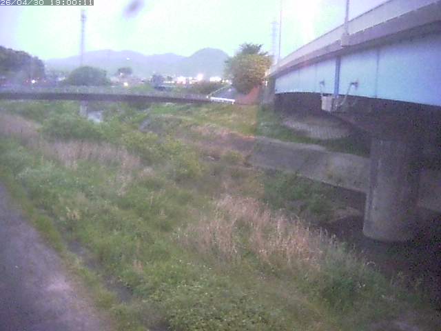 野坂川２2026/05/01 16:50:00