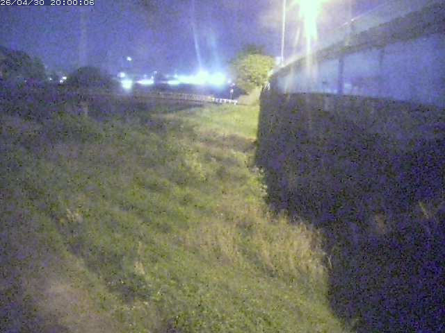 野坂川２2026/05/01 16:50:00