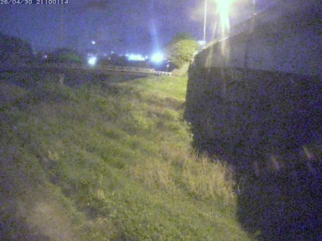 野坂川２2026/05/01 16:50:00