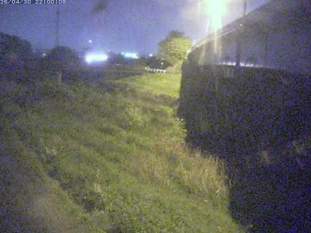 野坂川２2026/05/01 16:50:00