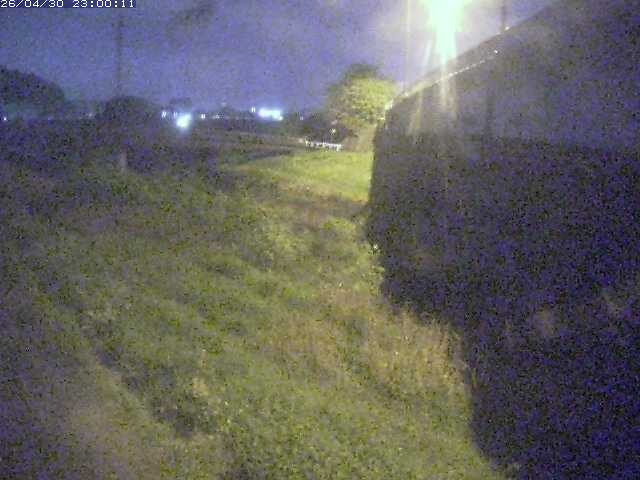 野坂川２2026/05/01 16:50:00