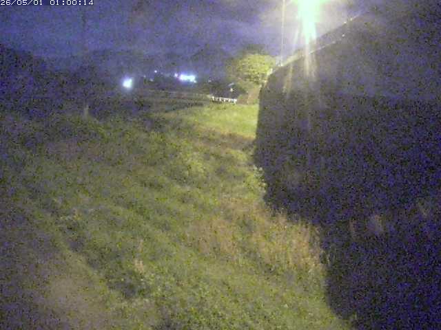 野坂川２2026/05/01 16:50:00