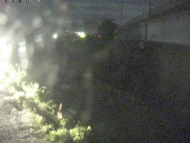 野坂川２2026/05/01 16:50:00