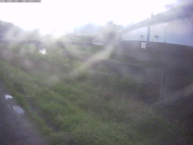 野坂川２2026/05/01 16:50:00