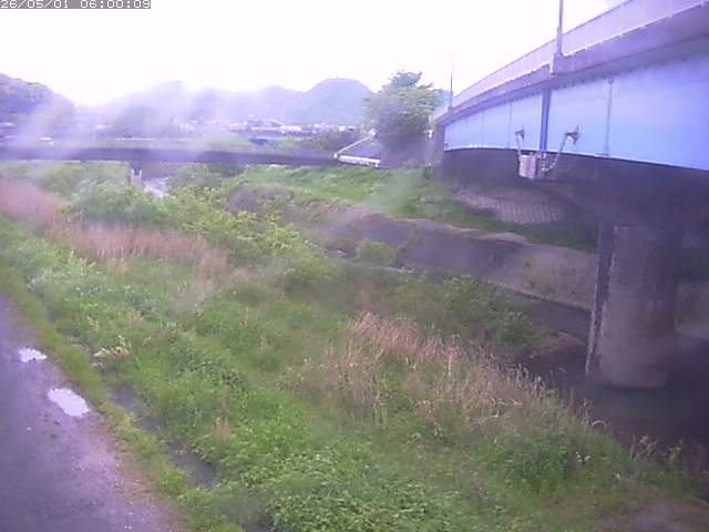 野坂川２2026/05/01 16:50:00