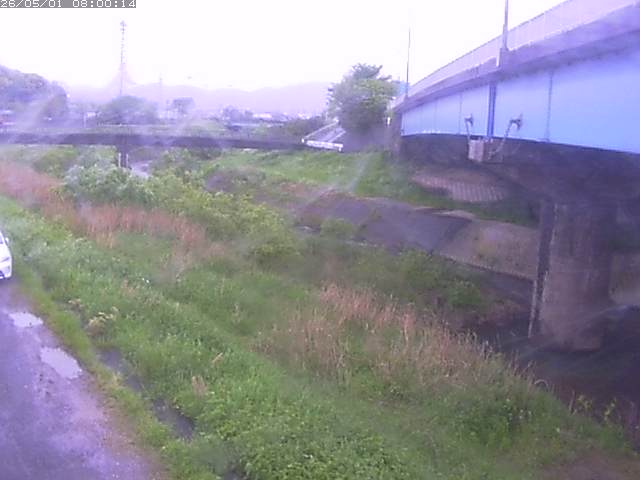 野坂川２2026/05/01 16:50:00