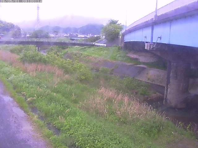 野坂川２2026/05/01 16:50:00