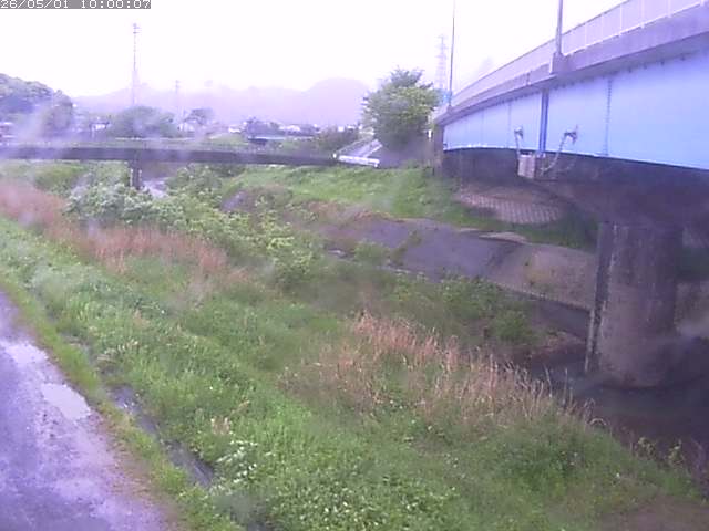 野坂川２2026/05/01 16:50:00