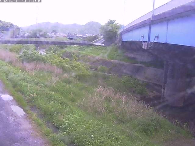 野坂川２2026/05/01 16:50:00