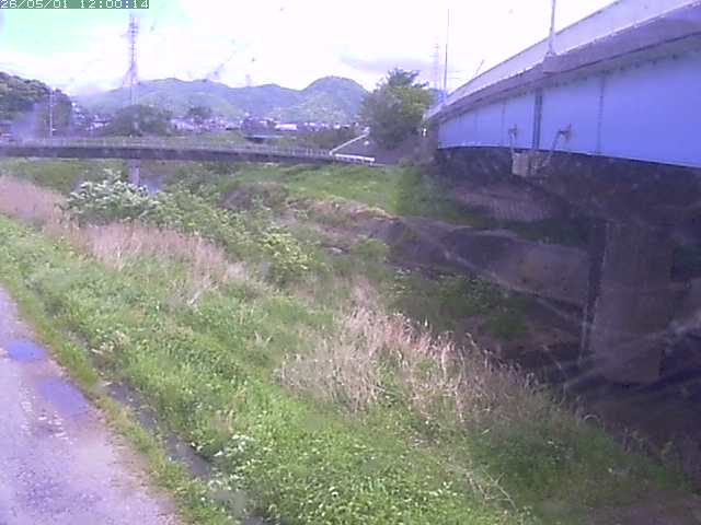 野坂川２2026/05/01 16:50:00