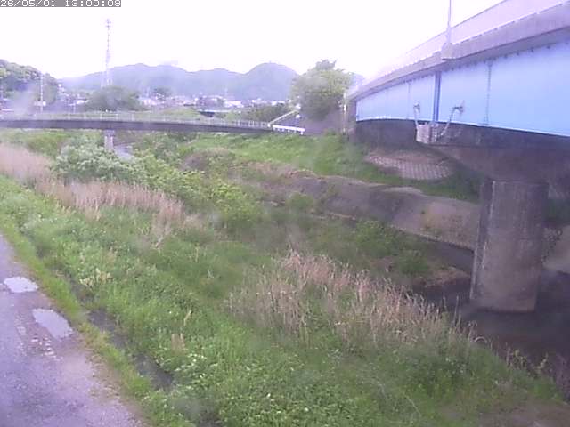 野坂川２2026/05/01 16:50:00