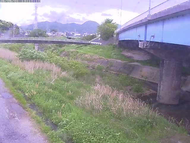 野坂川２2026/05/01 16:50:00