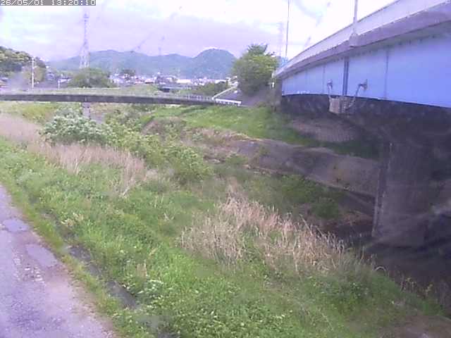 野坂川２2026/05/01 16:50:00