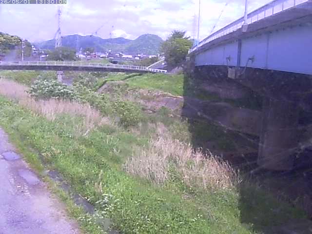 野坂川２2026/05/01 16:50:00