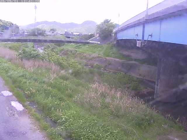 野坂川２2026/05/01 16:50:00