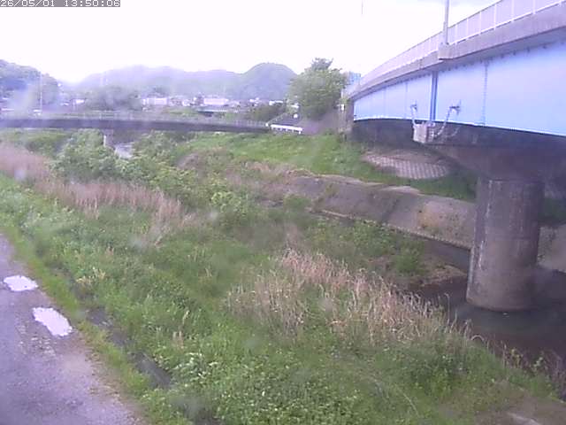 野坂川２2026/05/01 16:50:00