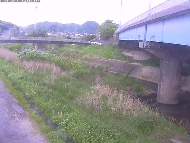 野坂川２2026/05/01 16:50:00