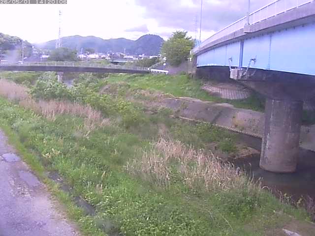 野坂川２2026/05/01 16:50:00