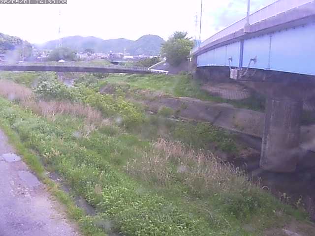 野坂川２2026/05/01 16:50:00