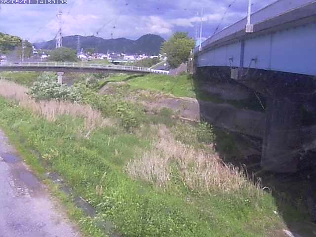 野坂川２2026/05/01 16:50:00