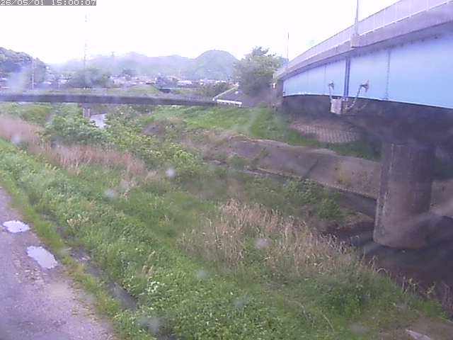 野坂川２2026/05/01 16:50:00