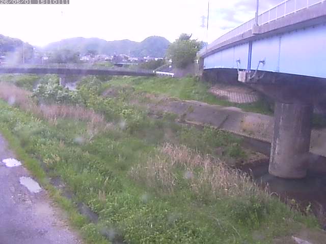 野坂川２2026/05/01 16:50:00