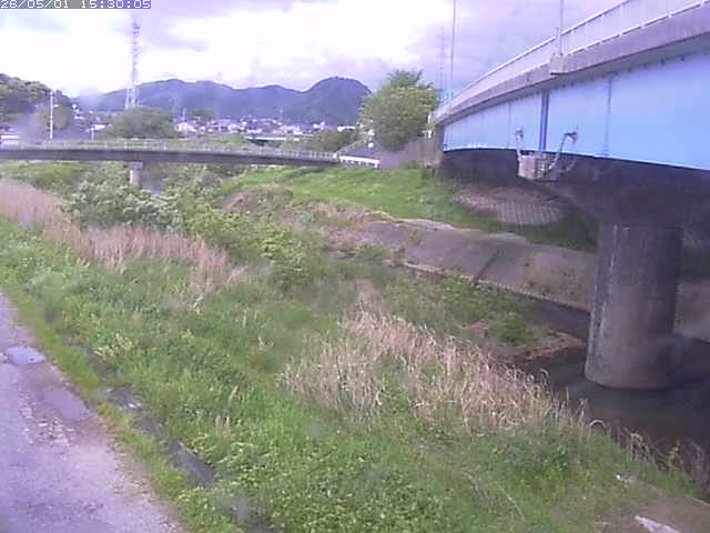 野坂川２2026/05/01 16:50:00