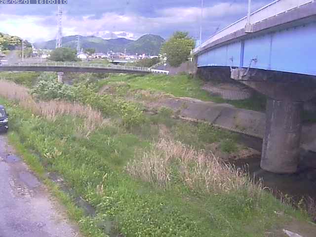 野坂川２2026/05/01 16:50:00