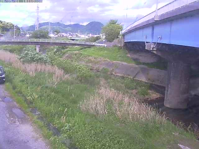 野坂川２2026/05/01 16:50:00