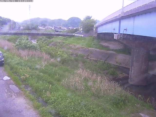 野坂川２2026/05/01 16:50:00