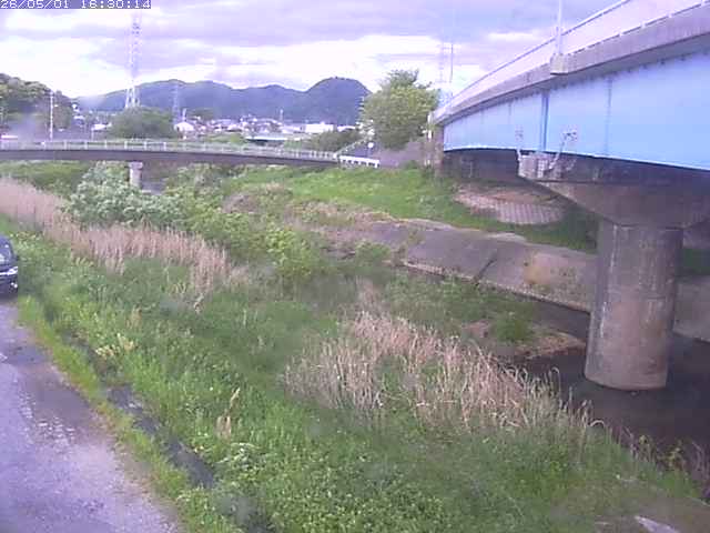 野坂川２2026/05/01 16:50:00