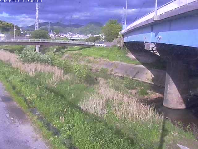 野坂川２2026/05/01 16:50:00