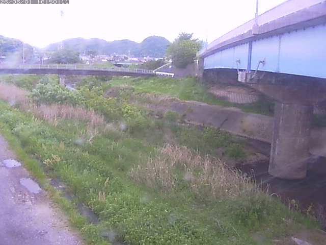 野坂川２2026/05/01 16:50:00