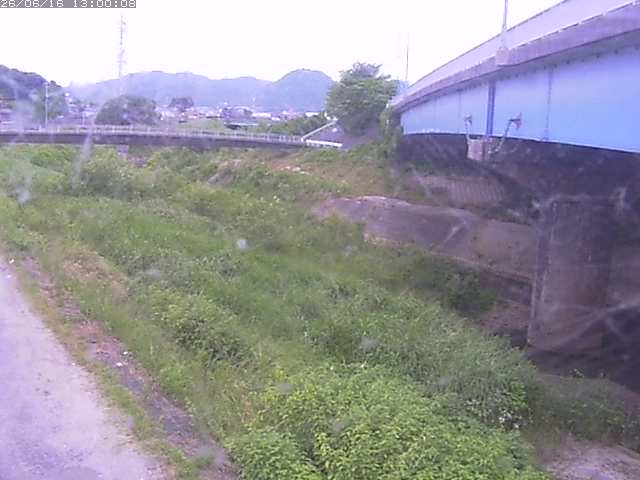 野坂川２2026/06/17 12:00:00