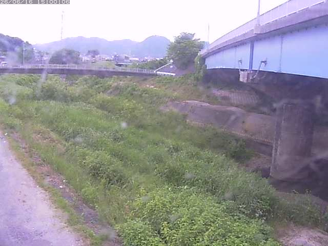 野坂川２2026/06/17 12:00:00