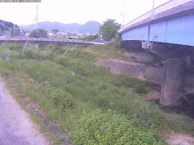 野坂川２2026/06/17 12:00:00