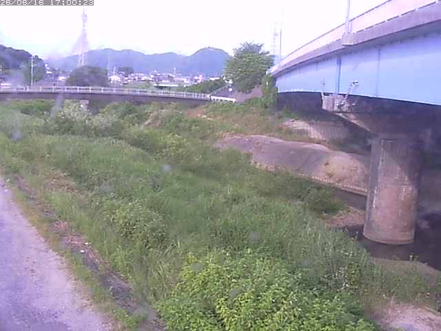 野坂川２2026/06/17 12:00:00