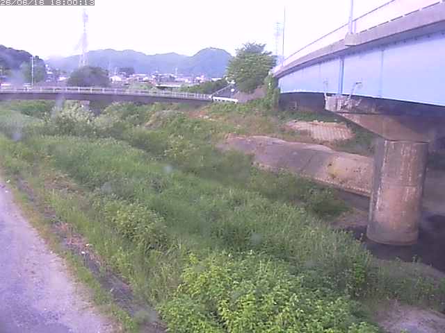 野坂川２2026/06/17 12:00:00
