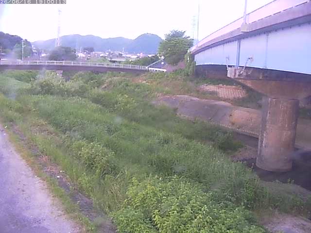 野坂川２2026/06/17 12:00:00