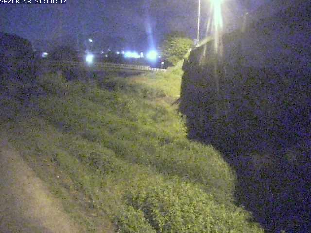 野坂川２2026/06/17 12:00:00