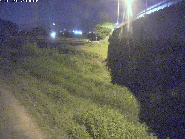 野坂川２2026/06/17 12:00:00