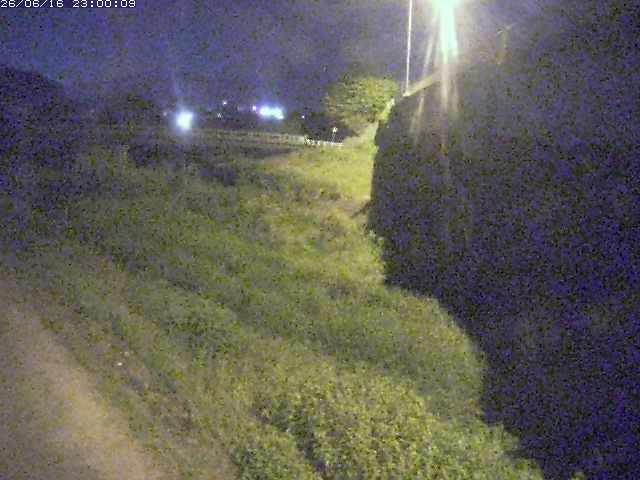 野坂川２2026/06/17 12:00:00