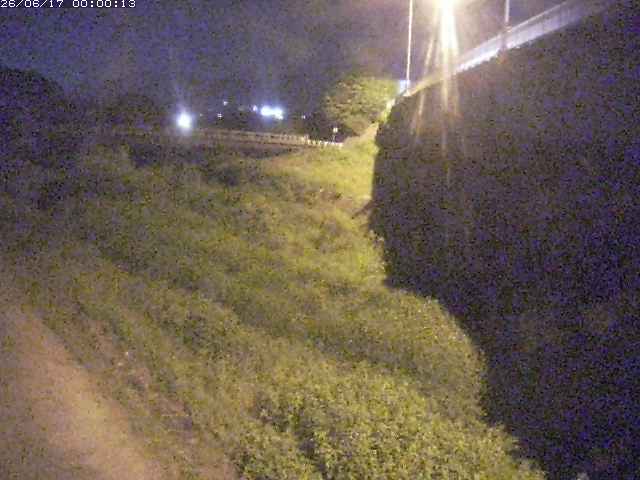 野坂川２2026/06/17 12:00:00