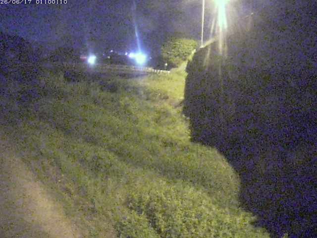 野坂川２2026/06/17 12:00:00