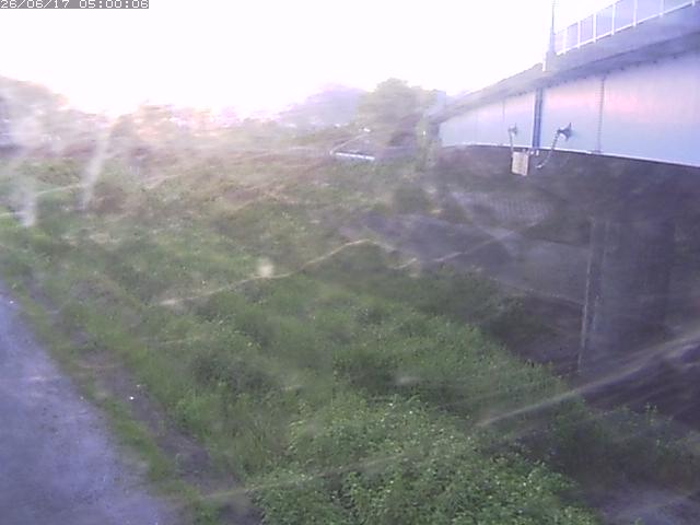 野坂川２2026/06/17 12:00:00