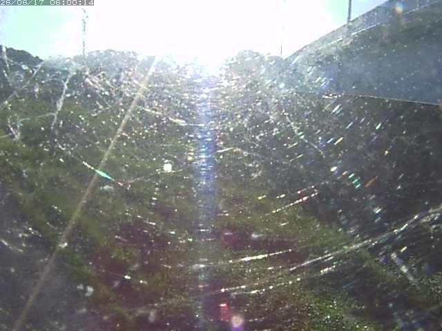 野坂川２2026/06/17 12:00:00