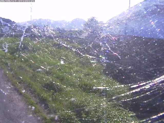 野坂川２2026/06/17 12:00:00
