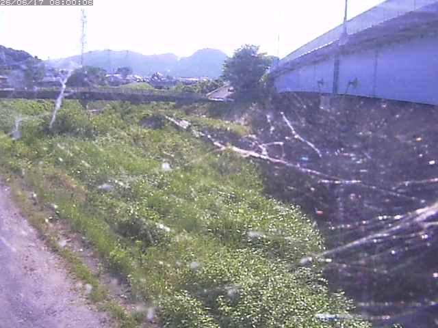 野坂川２2026/06/17 12:00:00
