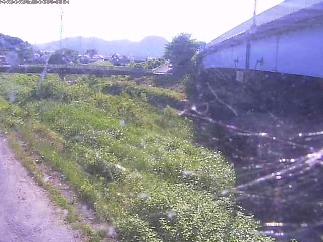 野坂川２2026/06/17 12:00:00