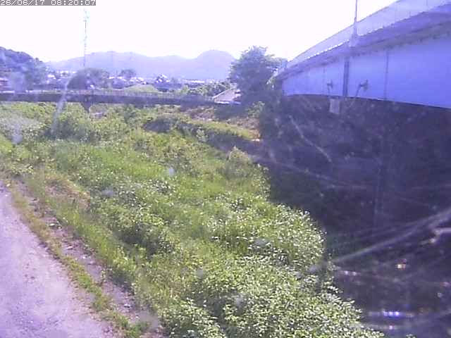 野坂川２2026/06/17 12:00:00